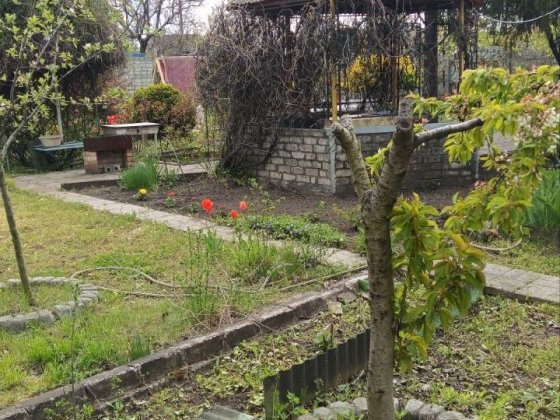Продам дачу с.о Днепр Калоша Кам'янське