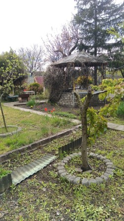 Продам дачу с.о Днепр Калоша - фото 1