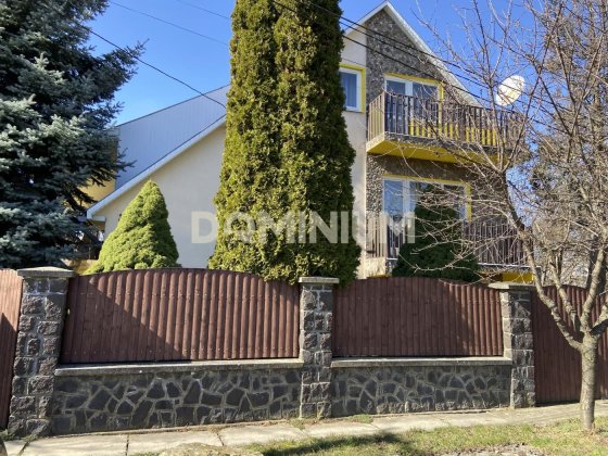 Триповерховий будинок із мансардою та гаражем Виноградов