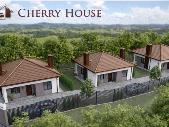 Будинок Гостомель І 65 м² І ділянка 3,5 сотки І тераса І газ Гостомель