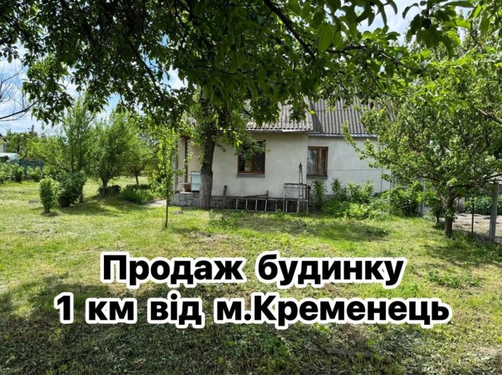 Житловий будинок з великою земельною ділянкою с.ПІДЛІСЦІ - фото 1