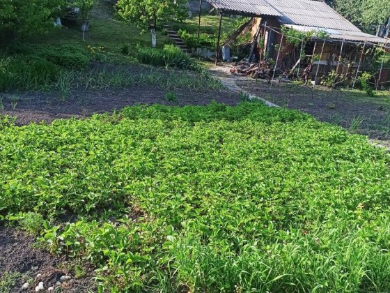 Продам Садовий будинок з земельною ділянкою