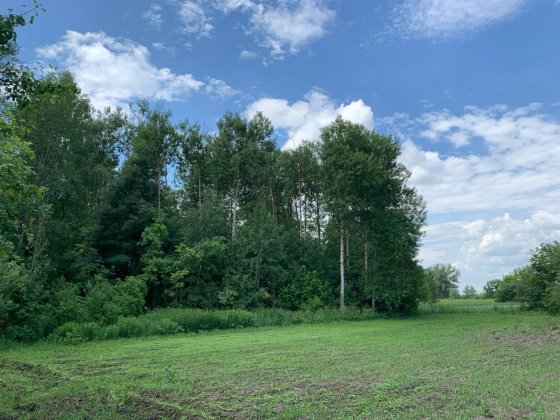Продам дачу в м. Ніжин (будинок + 49,6 сотих землі) Нежин