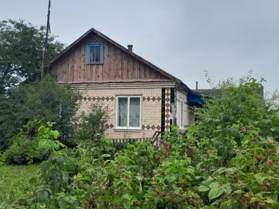 Продам будинок. с.Велика Деражня. Звягель