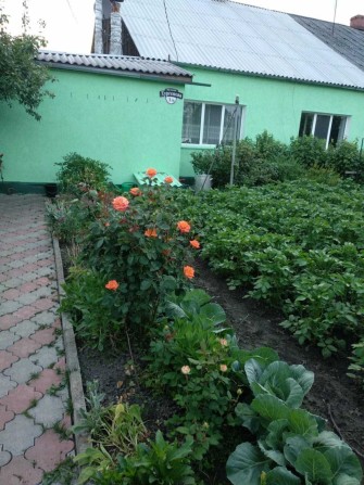 Будинок в затишному місці - фото 1