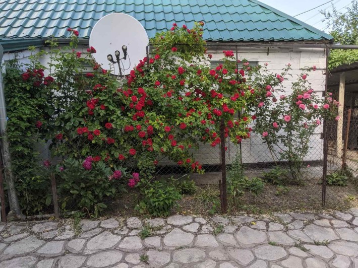 Продам дом в Павлограде, аренда не рассматривается, в нем живу. - фото 1