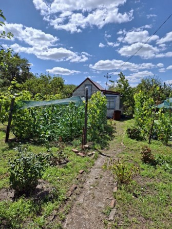 Продам Дачу недорого - фото 1