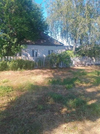 Будинок у с. Богданівка, Прилуцький р-н - фото 1