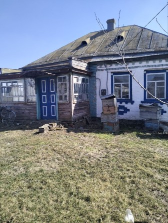 Продам будинок в селі Журавка - фото 1