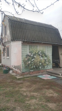 Продам дом дачу в лісі - фото 1