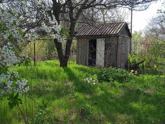 Дачна ділянка у кооперативі "Будівельник" Светловодск
