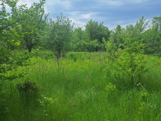 Продаж дачі в садовому товаристві Умань