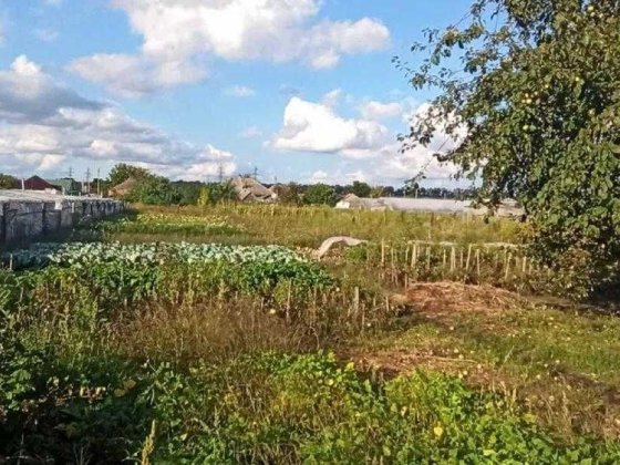 Продам кирпичный дом Чугуїв