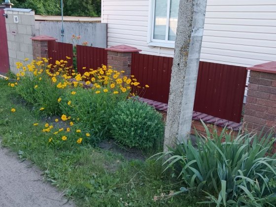 Продається будинок Шостка