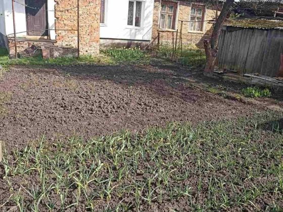 Продаж 1/4 будинку Шептицкий