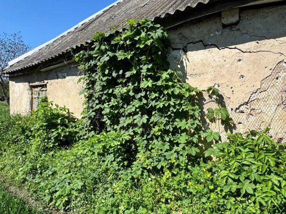 Продам ветхий дом в Чугуеве (рн 5й школы)