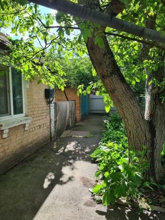 Продаж Будинку . - фото 1