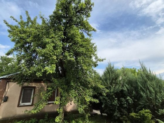 Продам дом в Подгородном, Днепропетровская  область Підгородне
