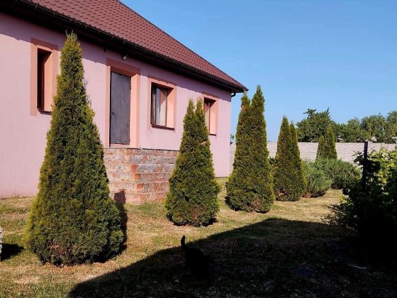 Продажа дома в Подгороднем. Ремонт, мебель,  техника Підгородне