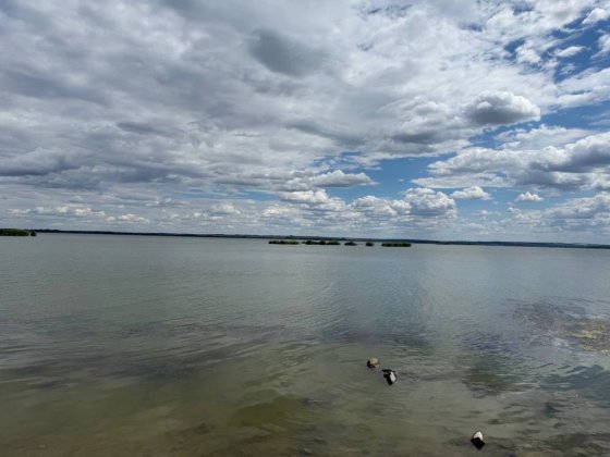 Продам дачу рядом с рекой в Подгородном( SunRay) Підгородне