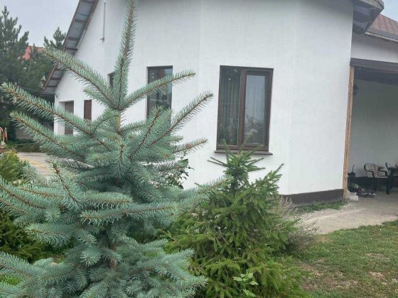Продам дом Подгороднее