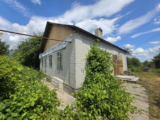 У продажу будинок в с. Орлівщина Орловщина