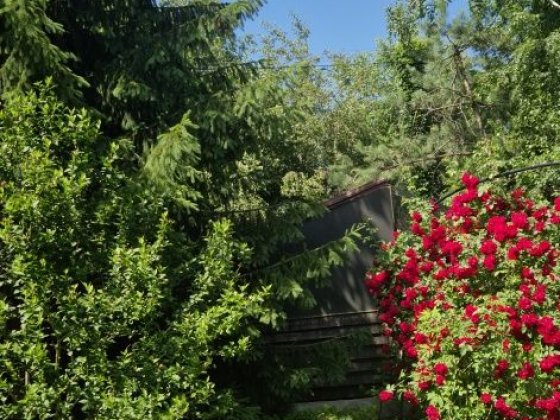 Продам будинок Стара слобода с. Орлівщина