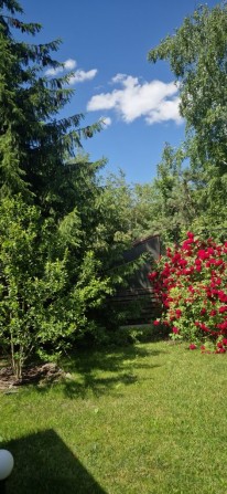Продам будинок Стара слобода с. Орлівщина - фото 1