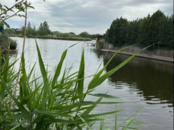 Свой берег! Река Самара,Продам Дом, Подгороднее, Самар,Новоселовка Новоселовка