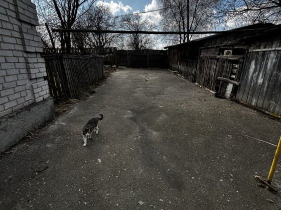 Продам окремий будинок
