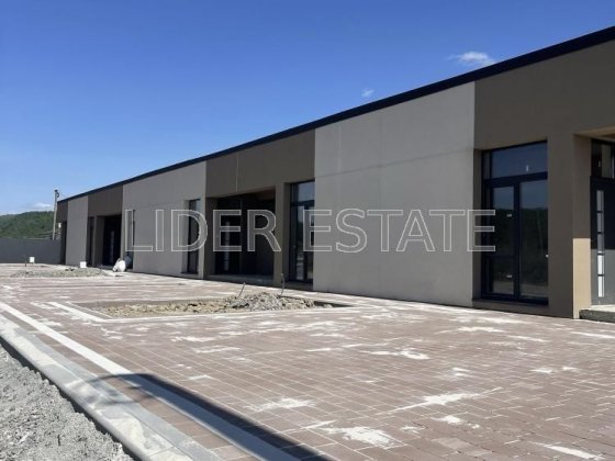 Продаж 1-кімн. таунхауса 50/40/10 м² на 1 сотці в Невицькому! Невицкое