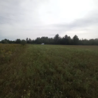 Земельна ділінка Бердичев