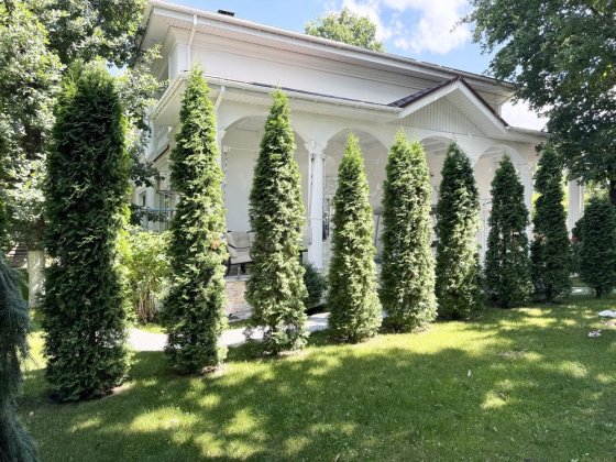 КМ Нова Ходосівка будинок 600 м² 20 соток гостьовий будинок лазня ліс Ходосівка