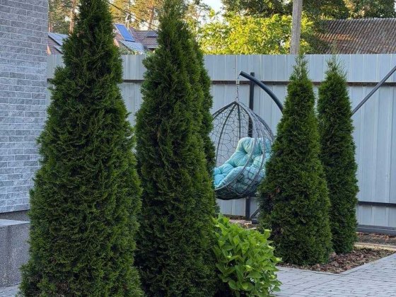 Продаж сучасного 3-кімнатного таунхауса у Ворзелі. Ворзель
