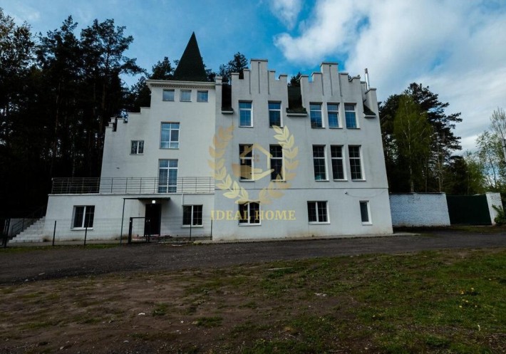 Продам переспективий будинок під пансіонат в Гореничах - фото 1
