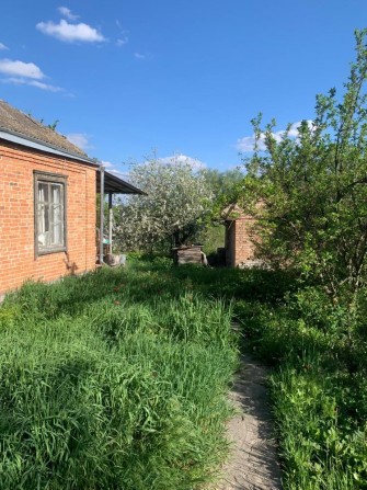 Цегляний будинок, біля річки Супій, Яготин - фото 1