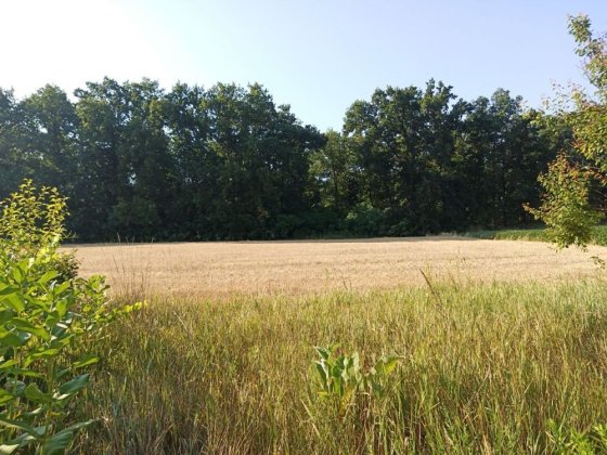 Продам будинок( дачу) із ділянкою Миронівка