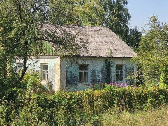 Цегляний будинок біля лісу та озер Тараща