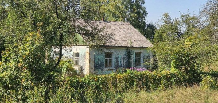 Цегляний будинок біля лісу та озер - фото 1