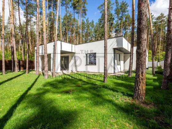 ПРОДАЖ за кращою ціною будинку преміум-класу в с. Дмитрівка,сосновий ліс, озеро, поруч заповідна зон Дмитровка