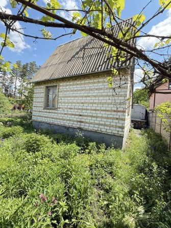 Продам дачу біля лісу - фото 1