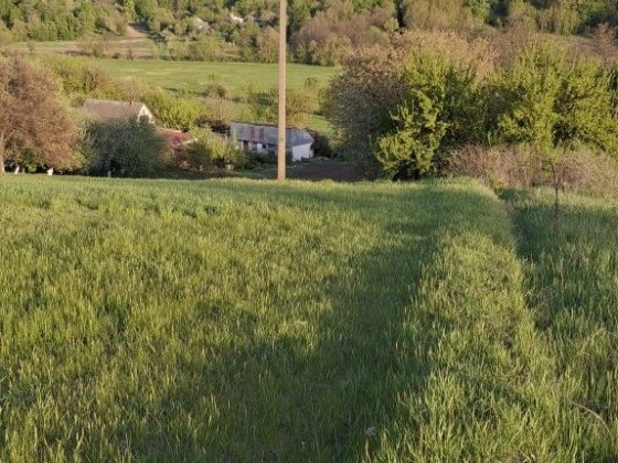 Продам старий будинок с.Хлепча Хлепча