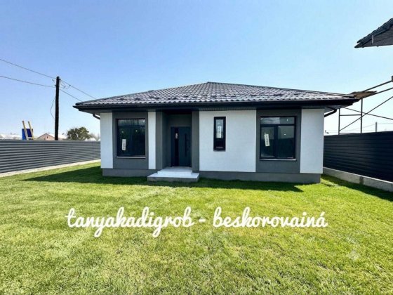 Продаж Сучасного одноповерхового будинку, газ! Шевченково