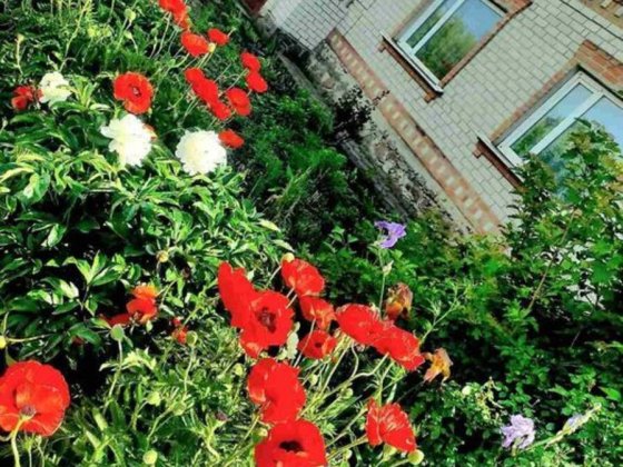 Продам добротний та міцний будинок в місті Бобринець. Бобринец