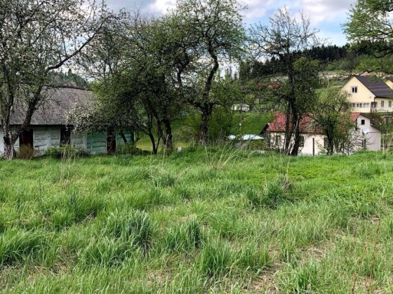 Продам будинок з земельною ділянкою 25сот смт. Східниця Сходница