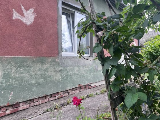 Продаж будинку біля Львова с.Давидів Давидів
