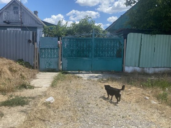 Срочно продам два дом на участке от хозяина Великодолинское Великодолинське
