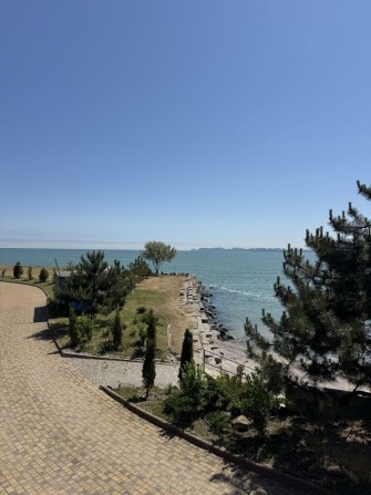 Продается дом кооператив Тартус — первая линия моря Лески, Сосновый берег - фото 1