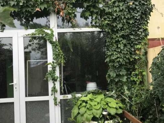 (13) Продам 3-поверховий будинок в смт. Великодолинське Великодолинське