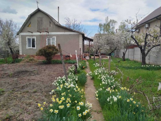 Продажа дома капитальной постройки, Великодолинское 35 т Великодолинське